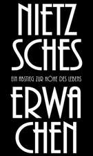 Nietzsches Erwachen