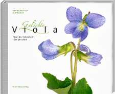 Geliebte Viola