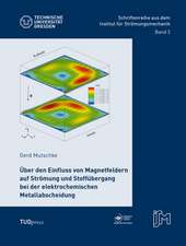 Über den Einfluss von Magnetfeldern auf Strömung und Stoffübergang bei der elektrochemischen Metallabscheidung