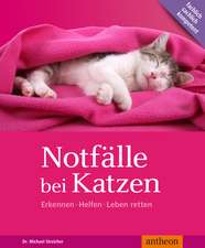 Streicher, M: Notfälle bei Katzen