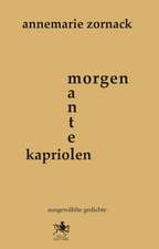 morgenmantel-kapriolen