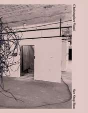 Christopher Wool: See Stop Run