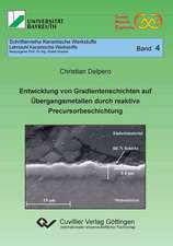 Entwicklung von Gradientenschichten auf Übergangsmetallen durch reaktive Precursorbeschichtung (Band 4)