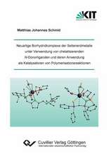 Neuartige Borhydridkomplexe der Seltenerdmetalle unter Verwendung von chelatisierenden N-Donorliganden und deren Anwendung als Katalysatoren von Polymerisationsreaktionen