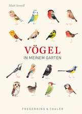 Vögel in meinem Garten