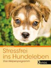 Stressfrei ins Hundeleben