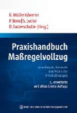 Praxishandbuch Maßregelvollzug