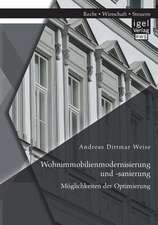 Wohnimmobilienmodernisierung Und -Sanierung: Moglichkeiten Der Optimierung