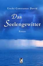 Das Seelengewitter