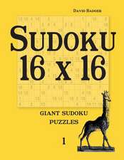 Sudoku 16 X 16