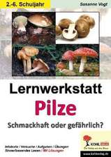 Lernwerkstatt Pilze