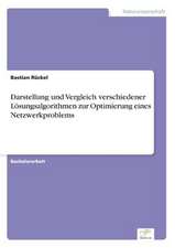 Darstellung und Vergleich verschiedener Lösungsalgorithmen zur Optimierung eines Netzwerkproblems