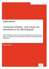 "Arabischer Frühling" - Eine Chance für Demokratie in der MENA-Region?