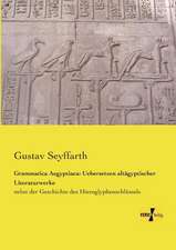 Grammatica Aegyptiaca: Uebersetzen altägyptischer Literaturwerke