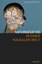 Naturgesetze in einer kausalen Welt