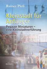 Kleinstadt für Anfänger