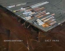 Edward Burtynsky: Salt Pans