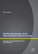 Nachhaltige Energie Durch Hydrothermale Karbonisierung: Aspekte Der Wirtschaftlichkeit Und Anwendbarkeit