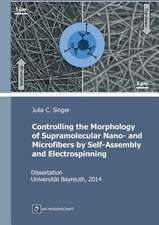 Controlling the Morphology of Supramolecular Nano- and Microfibers by Self-Assembly and Electrospinning