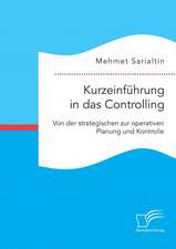 Kurzeinfuhrung in Das Controlling: Von Der Strategischen Zur Operativen Planung Und Kontrolle