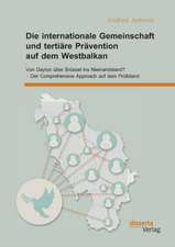 Die Internationale Gemeinschaft Und Tertiare Pravention Auf Dem Westbalkan: Von Dayton Uber Brussel Ins Niemandsland? - Der Comprehensive Approach Auf