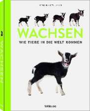 Wachsen