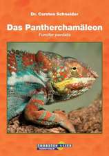 Das Pantherchamäleon