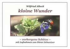 Kloine Wunder