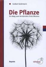 Die Pflanze