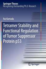 Tetramer Stability and Functional Regulation of Tumor Suppressor Protein p53