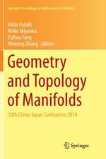 Geometry and Topology of Manifolds: 10th China-Japan Conference 2014