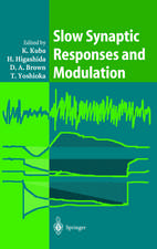 Slow Synaptic Responses and Modulation