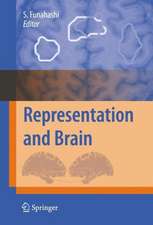 Representation and Brain