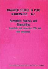 Asymptotic Analysis and Singularities