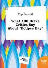 Top Secret! What 100 Brave Critics Say about Eclipse Bay