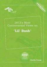 2013's Most Controversial Views on Lil' Bush