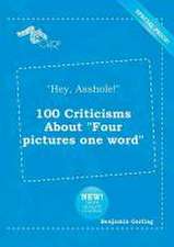 Hey, Asshole! 100 Criticisms about Four Pictures One Word