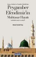 Peygamber Efendimizin Muhtasar Hayati