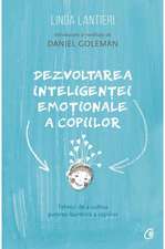 Dezvoltarea inteligenței emoționale a copiilor