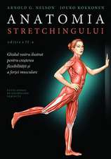 Anatomia stretchingului