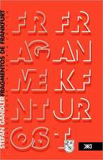 Fragmentos de Frankfurt. Ensayos Sobre La Teora Crtica