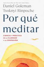 Por Qué Meditar / Why We Meditate