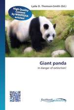 Giant panda