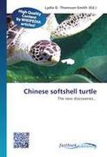 Chinese softshell turtle