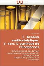 1. Tandem Multicatalytique 2. Vers La Synthese de L Hodgsonox: Approche Pheno-Corpusculaire