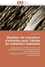 Modeles de Transition D'Echelles Pour L'Etude de Materiaux Biphases: Dieu, La Nature Et L'Homme