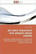 Jet Plan Impactant Une Plaque Plane Mobile: Bases Neurales