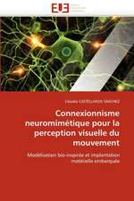 Connexionnisme Neuromimetique Pour La Perception Visuelle Du Mouvement: Des Categories Et Des Hommes