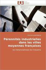 Perennites Industrielles Dans Les Villes Moyennes Francaises