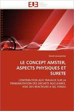 LE CONCEPT AMSTER, ASPECTS PHYSIQUES ET SURETE